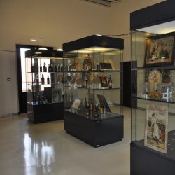 mostra di arini