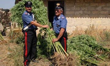 carabinieri-piantagione-canapa-indiana-marsala-amabilina