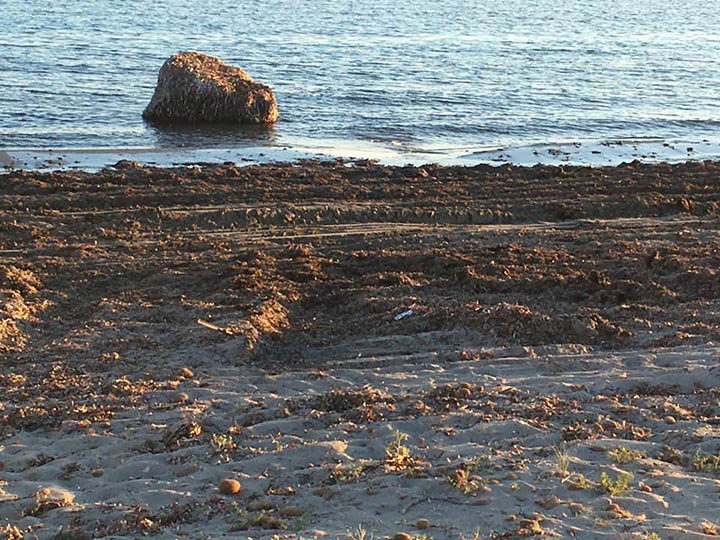 Legambiente Allarme Spiagge Si Sta Distruggendo Il