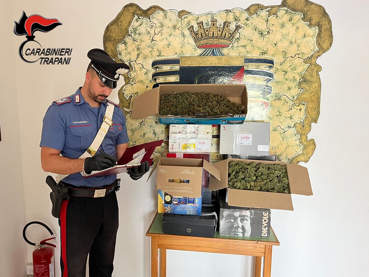 Petrosino, sequestrata piantagione di “marijuana” e arrestato un marsalese