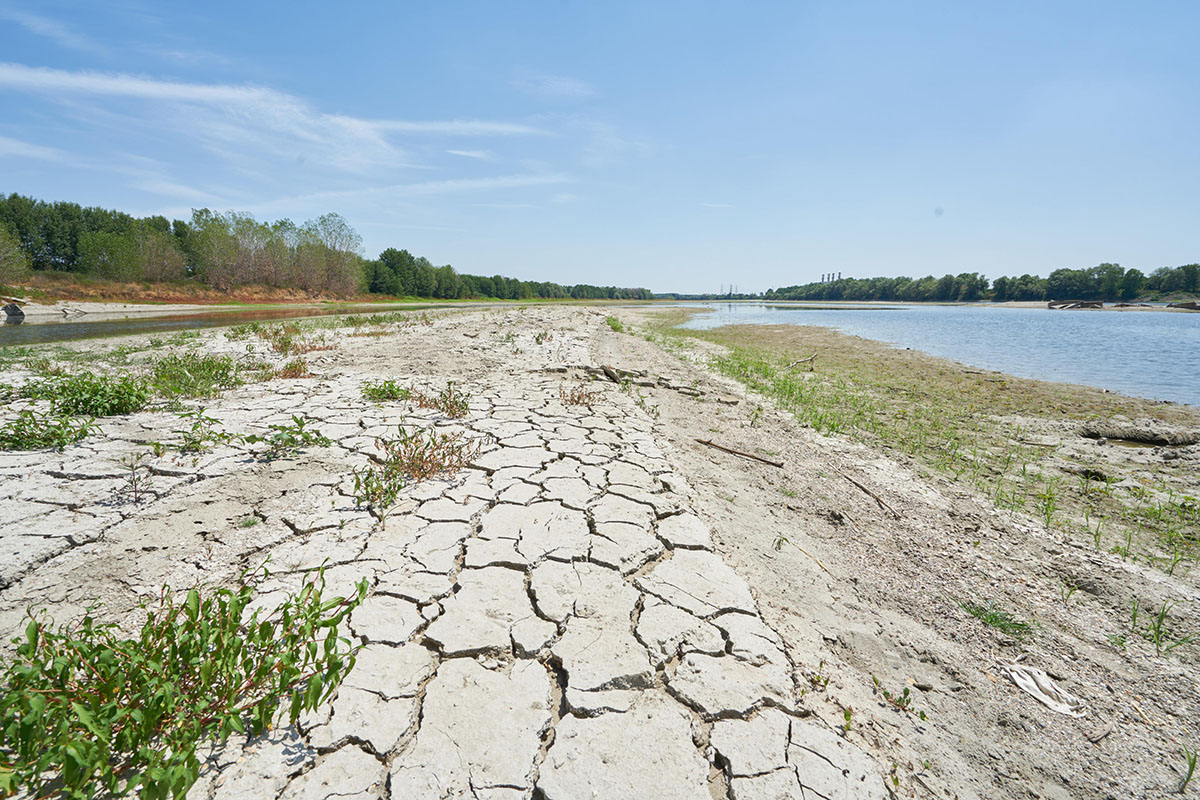 Biodiversità, siccità e cambiamenti climatici sono al centro dei lavori del congresso internazionale Ispamed 24