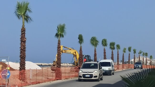 Marsala: le palme "della discordia" sul lungomare sud